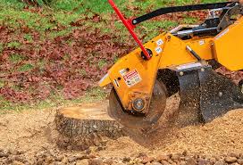 Best Soil Testing and Treatment  in Columbus, NM